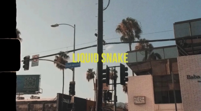 Video | Liquid Snake [ 🎥 By ‪@_PhreshVision ‬] – ‪@YEAROFJORDN x @RealBrogawd #W2TM‬
